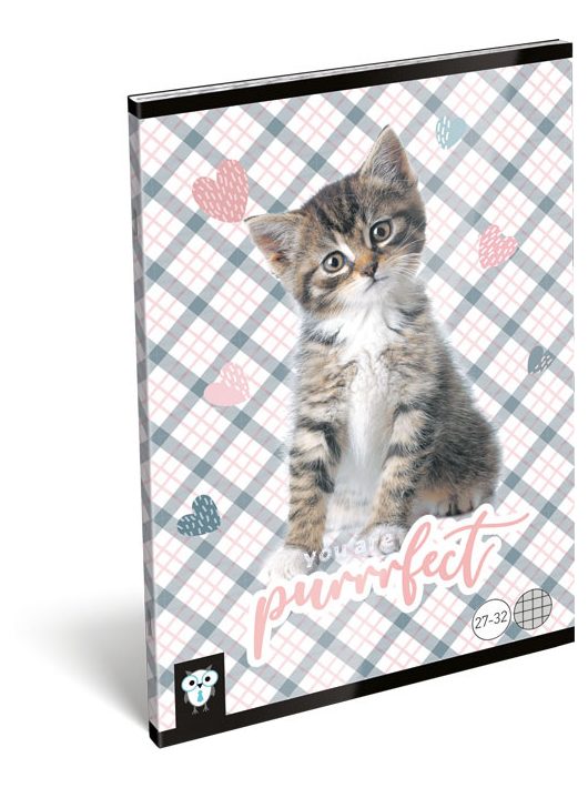 Lizzy Card cicás tűzött füzet A/5, 32 lap kockás, Purrrfect